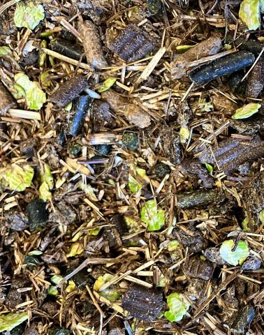 Everyday Essential Balancer