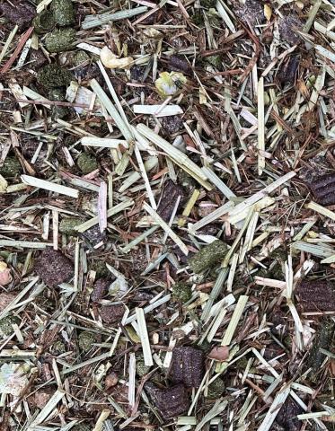 Sensitive Performance