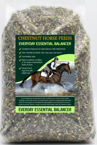 Everyday Essential Balancer