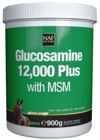 Glucosamine 12000 Plus MSM