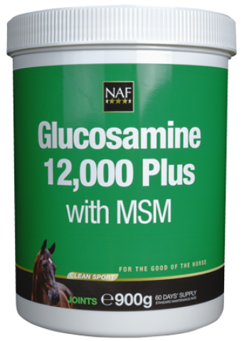 Glucosamine 12000 Plus MSM