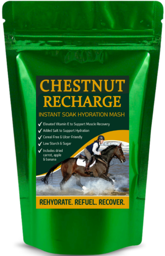 ReCharge Pouch
