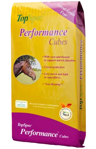 Performance Cubes