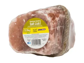 Himalayan Salt Lick Medium