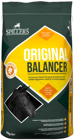 Original Balancer