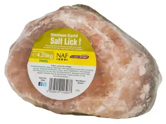 Himalayan Salt Lick Large