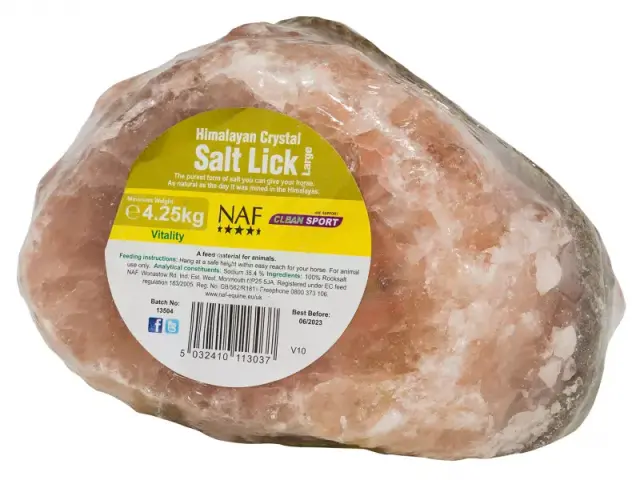 Himalayan Salt Lick Large