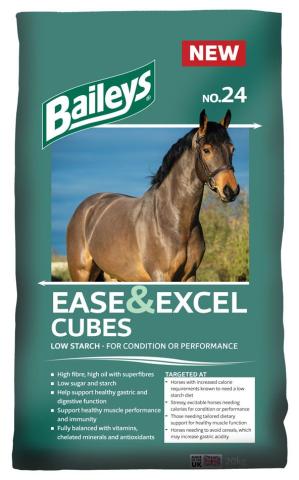 No. 24 Ease & Excel Cubes