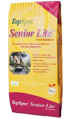 Senior Lite Balancer
