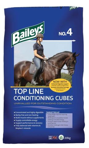 No. 4 TopLine Condition Cubes