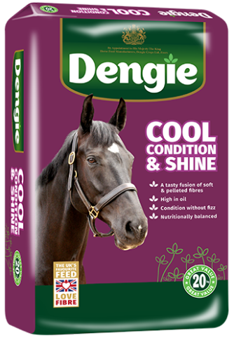 Cool Condition & Shine