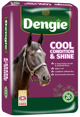 Cool Condition & Shine