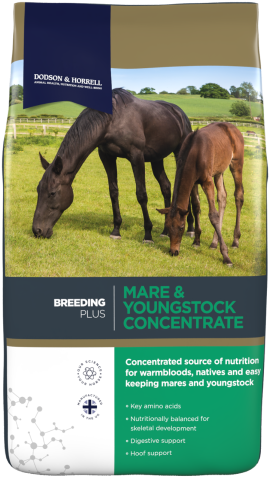 Mare&Youngstock Concentrate